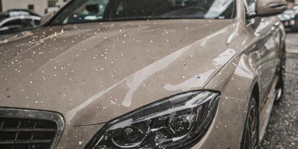 Paint protection film